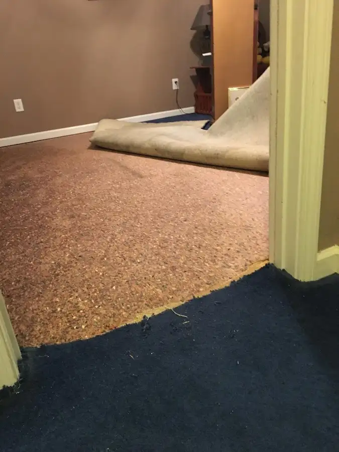 Carpet pad removal revealing water damage during Drying & Dehumidification in Duryea