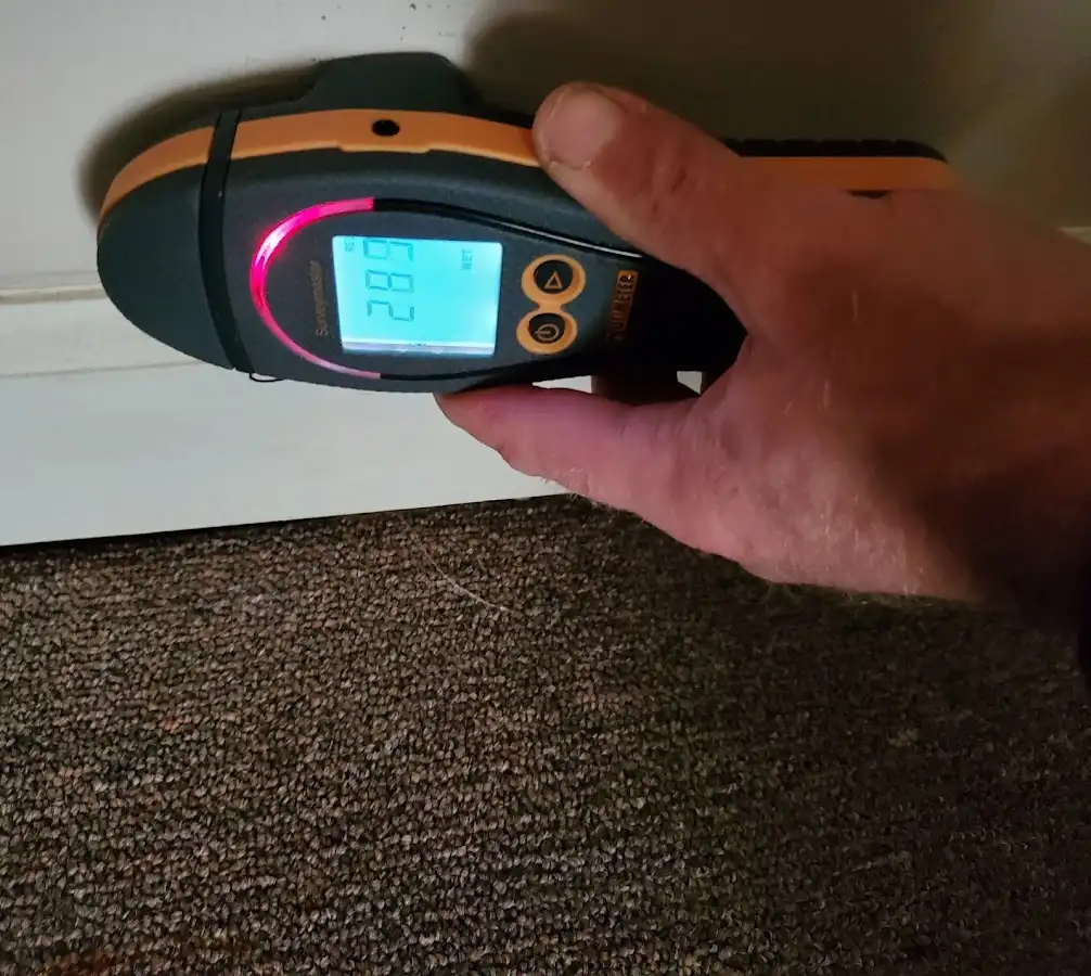 Moisture detection at baseboard during Mold Inspection & Testing in Duryea